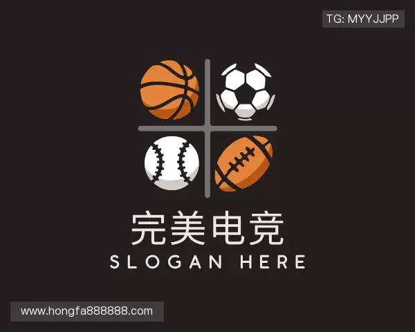 介绍完美电竞