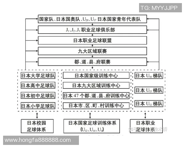 杭州足球队的力量变革引发热议探索新阶段的崛起与挑战