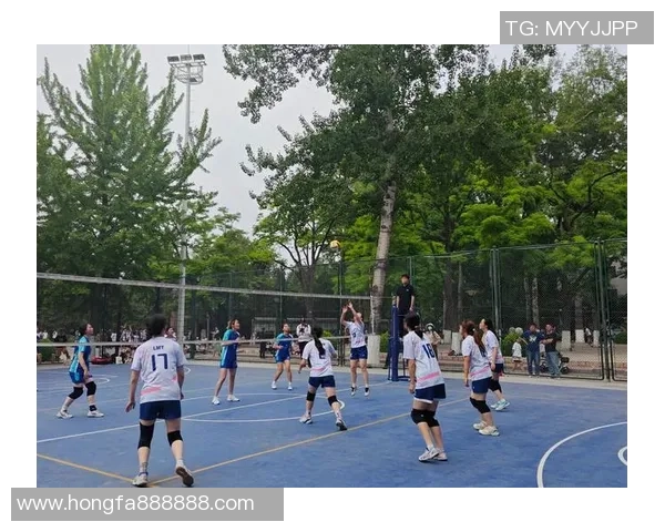 排球比赛经验排行榜揭晓北京排球队荣获第五名佳绩
