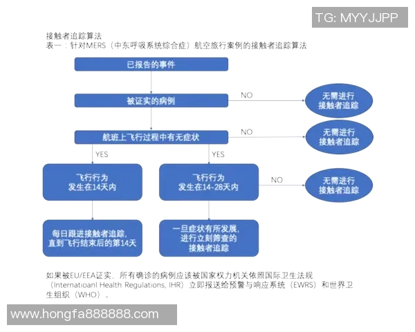 武汉排球队在锦标赛中的个人能力分析与表现评估